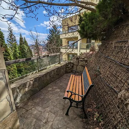 Studio 14 Brasov Exterior photo
